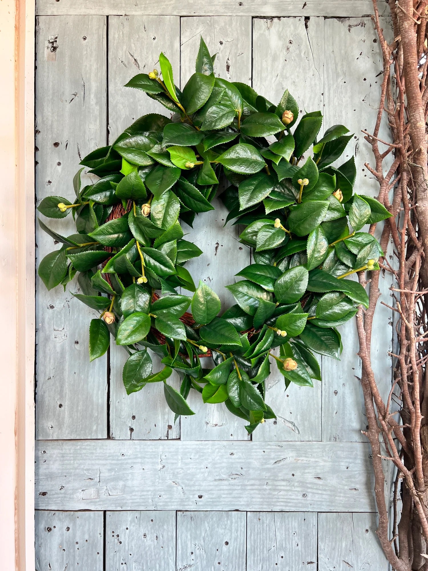 Camelia Leaves Wreath 26"