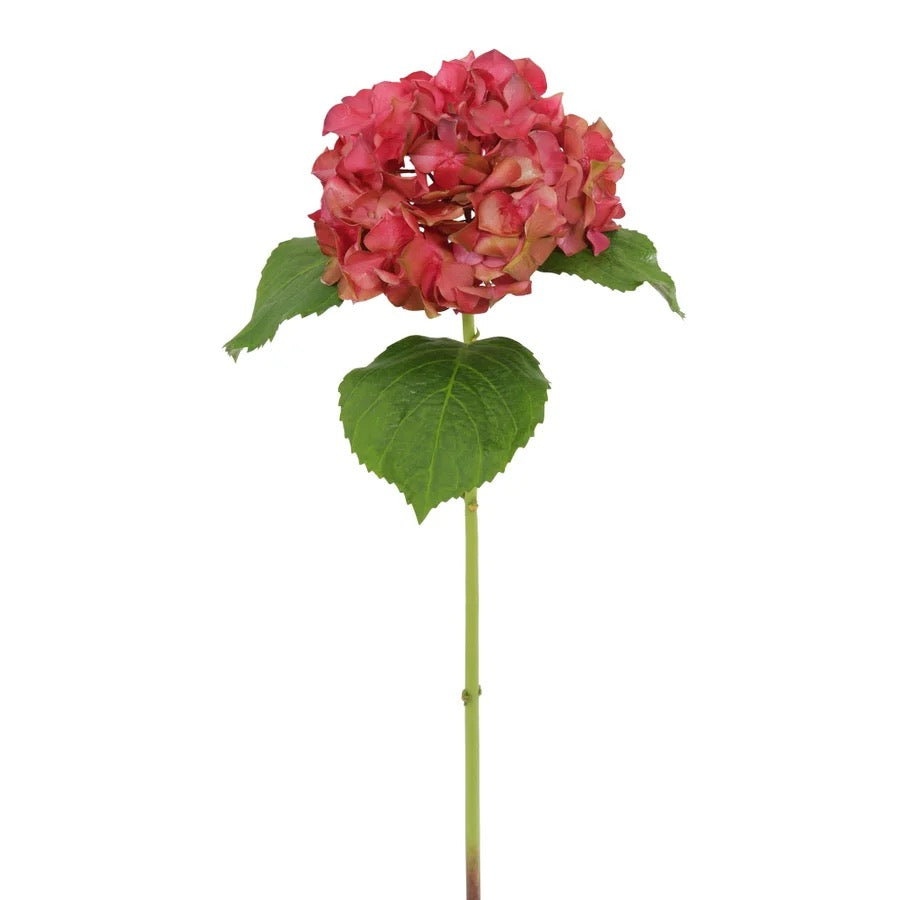 Winward Floral Hydrangea Stem 23.5"