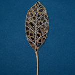 Winward Mosaic Mirror Magnolia Pick 13"