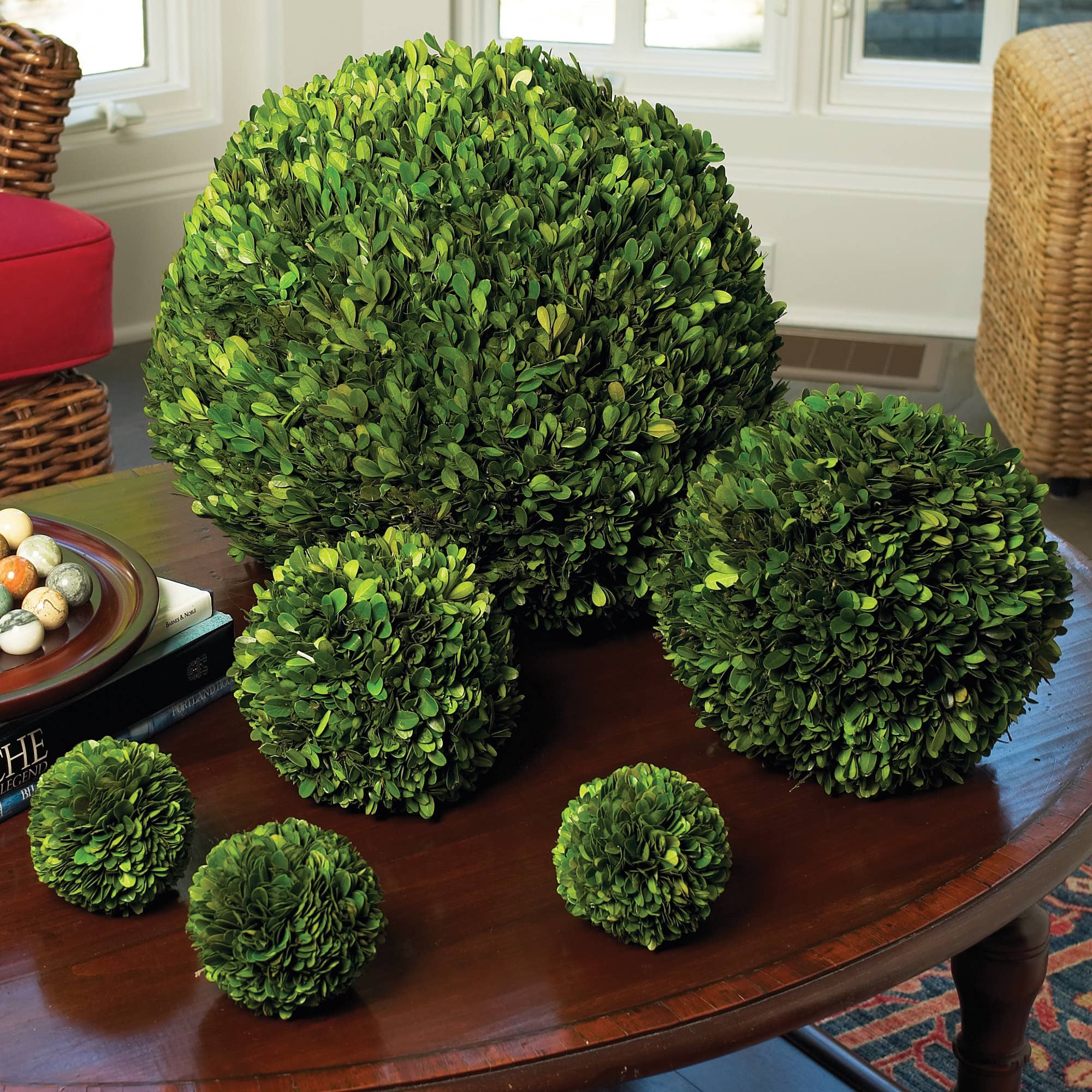 Napa Home & Garden - Boxwood Ball 16"