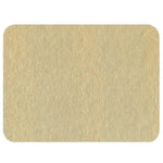 Caspari Lizard Felt-Backed Rectangle Placemat Rectangle - 1 Each