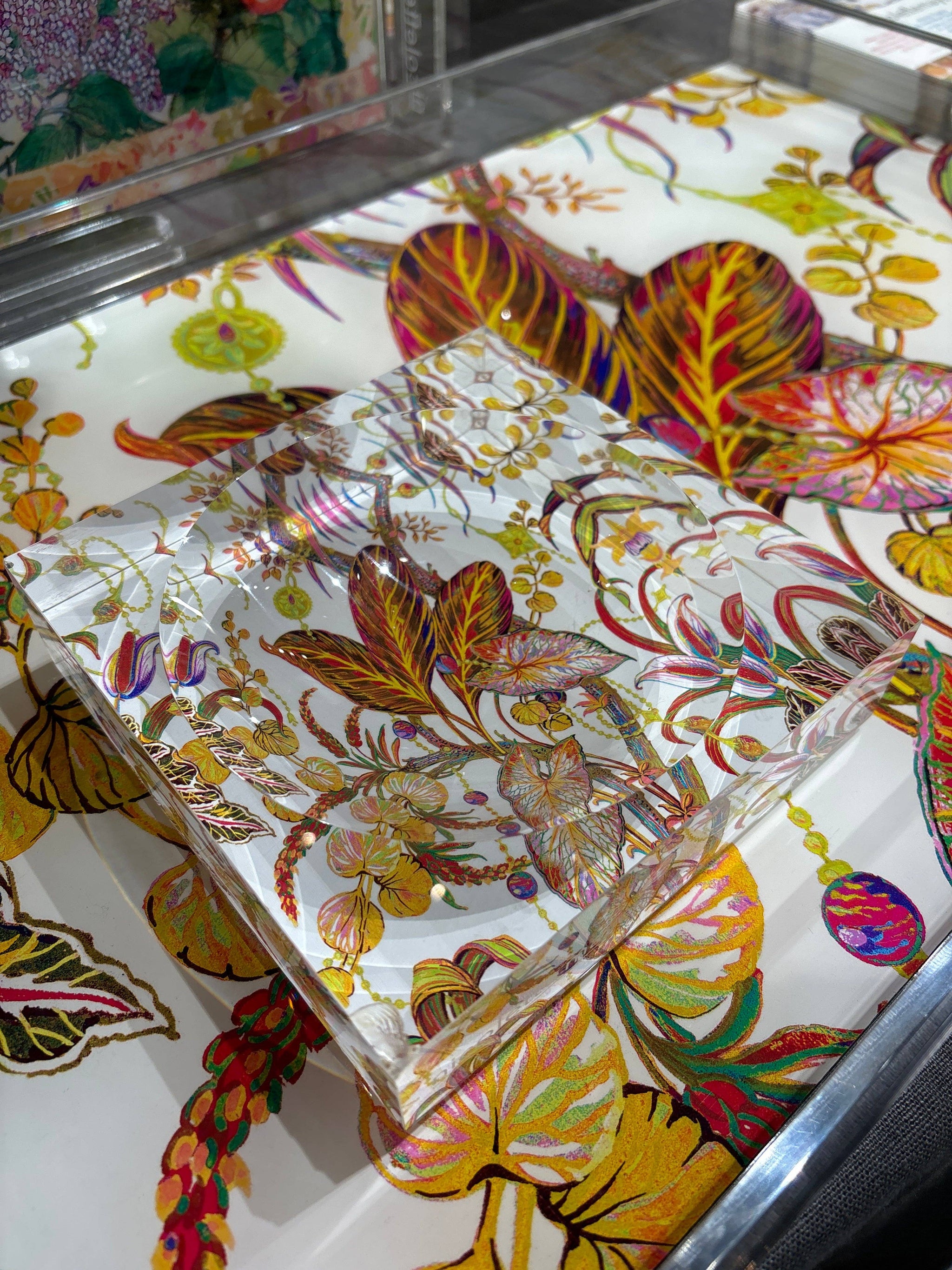 Nicolette Mayer Collection - Amazonia Splendor Acrylic Candy Catchall Dish 6x6