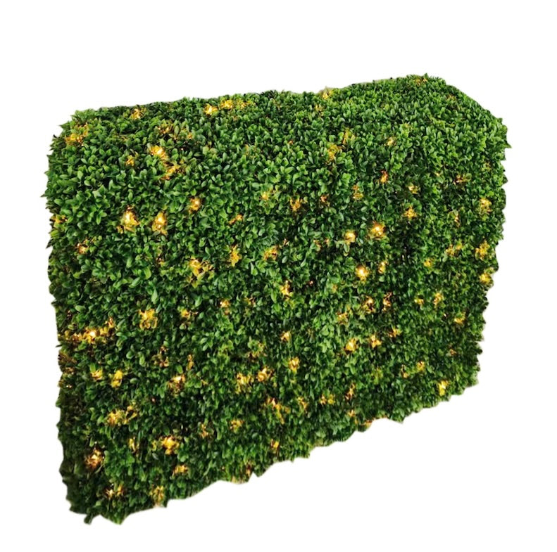 Boxwood Hedge Rectangle with Lights