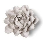 Chive Ivory Comanche Peony