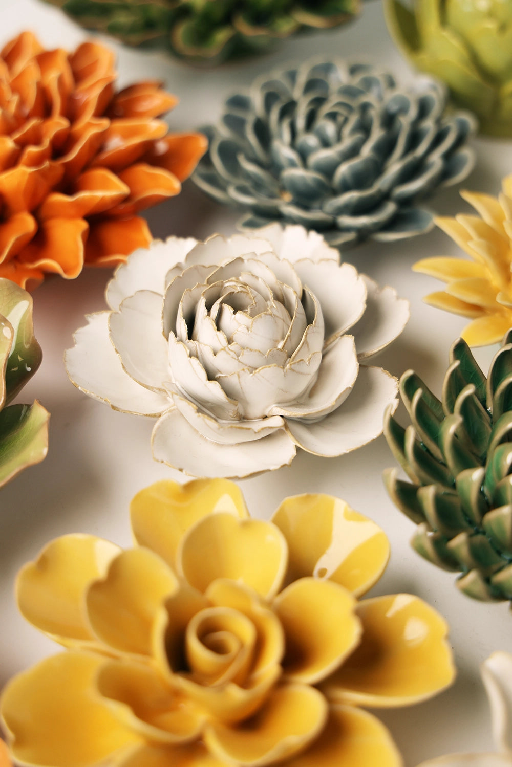 Chive English Garden Ivory English Rose