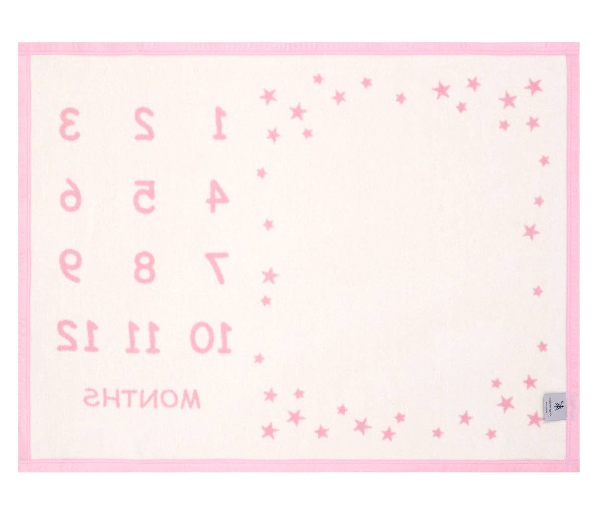 ChappyWrap - Milestone Mini Blush Blanket