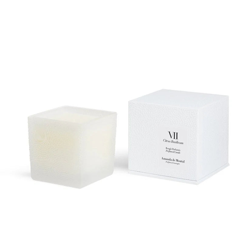 Amanda De Montal VII CITRUS BASILICUM Scented Candle 220g