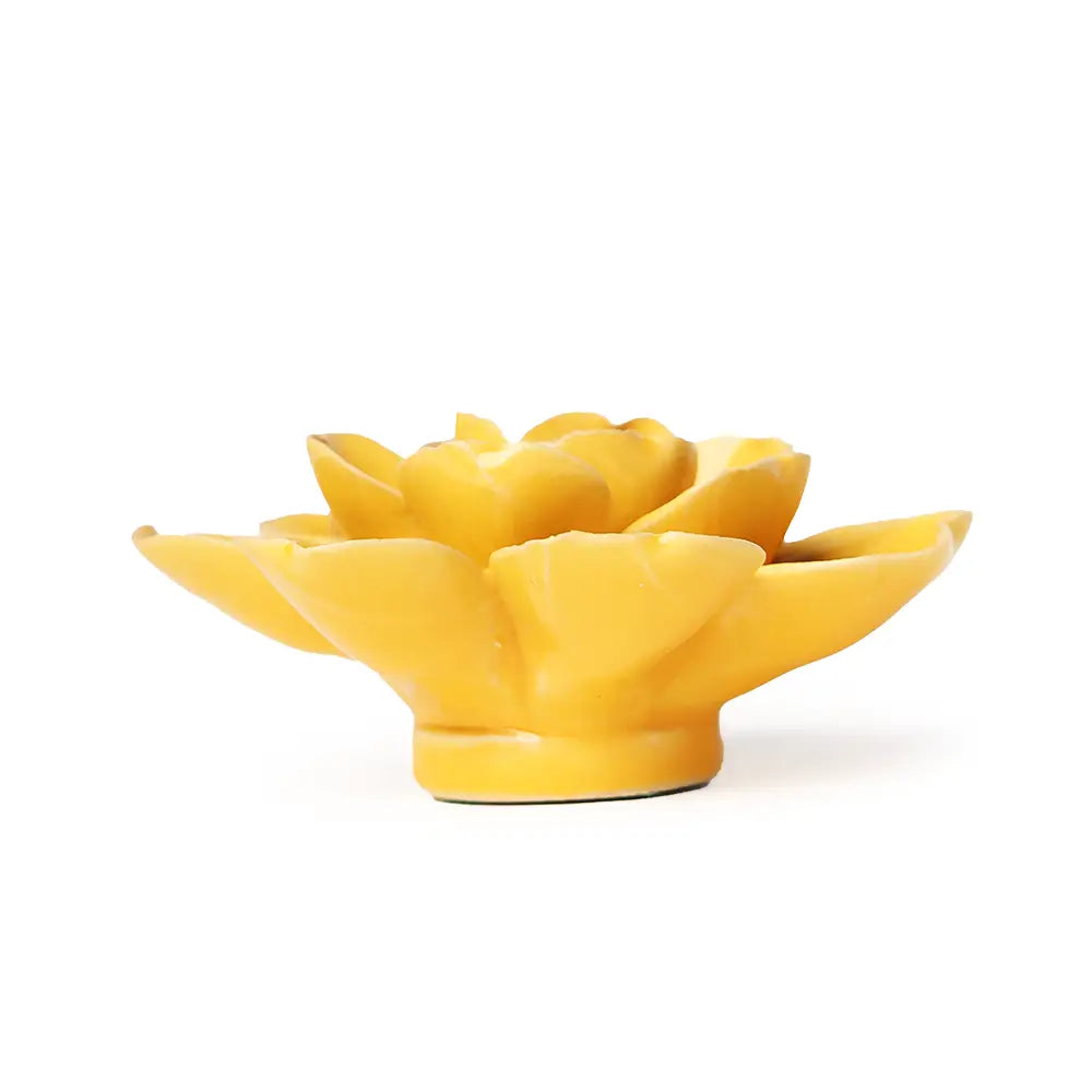 Chive English Garden Burnt Yellow Tahitian Gardenia