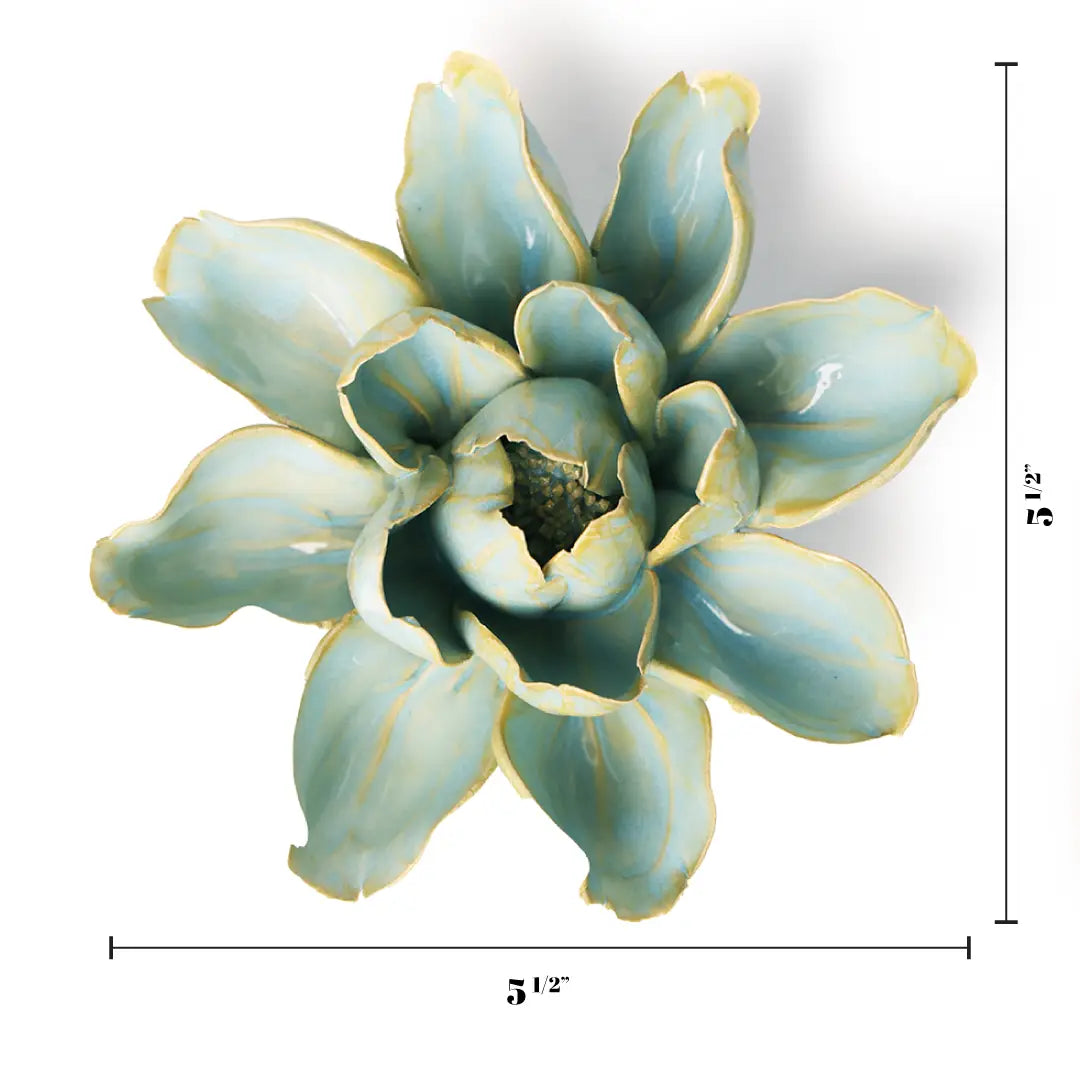 Chive English Garden Robin's Egg Blue Aurora Water Lily