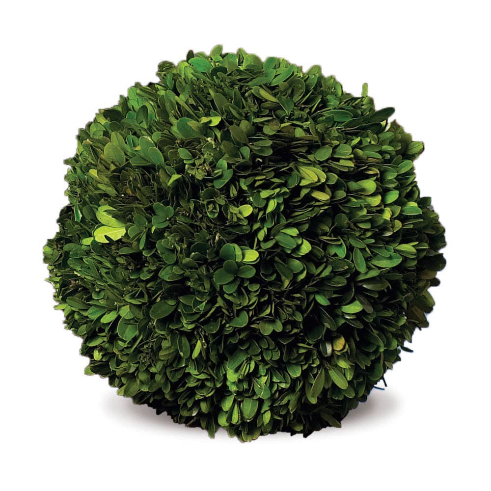 Napa Home & Garden - Boxwood Ball 10"