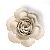 Chive English Garden Ivory English Rose