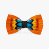 Brackish Bow Tie Tucson