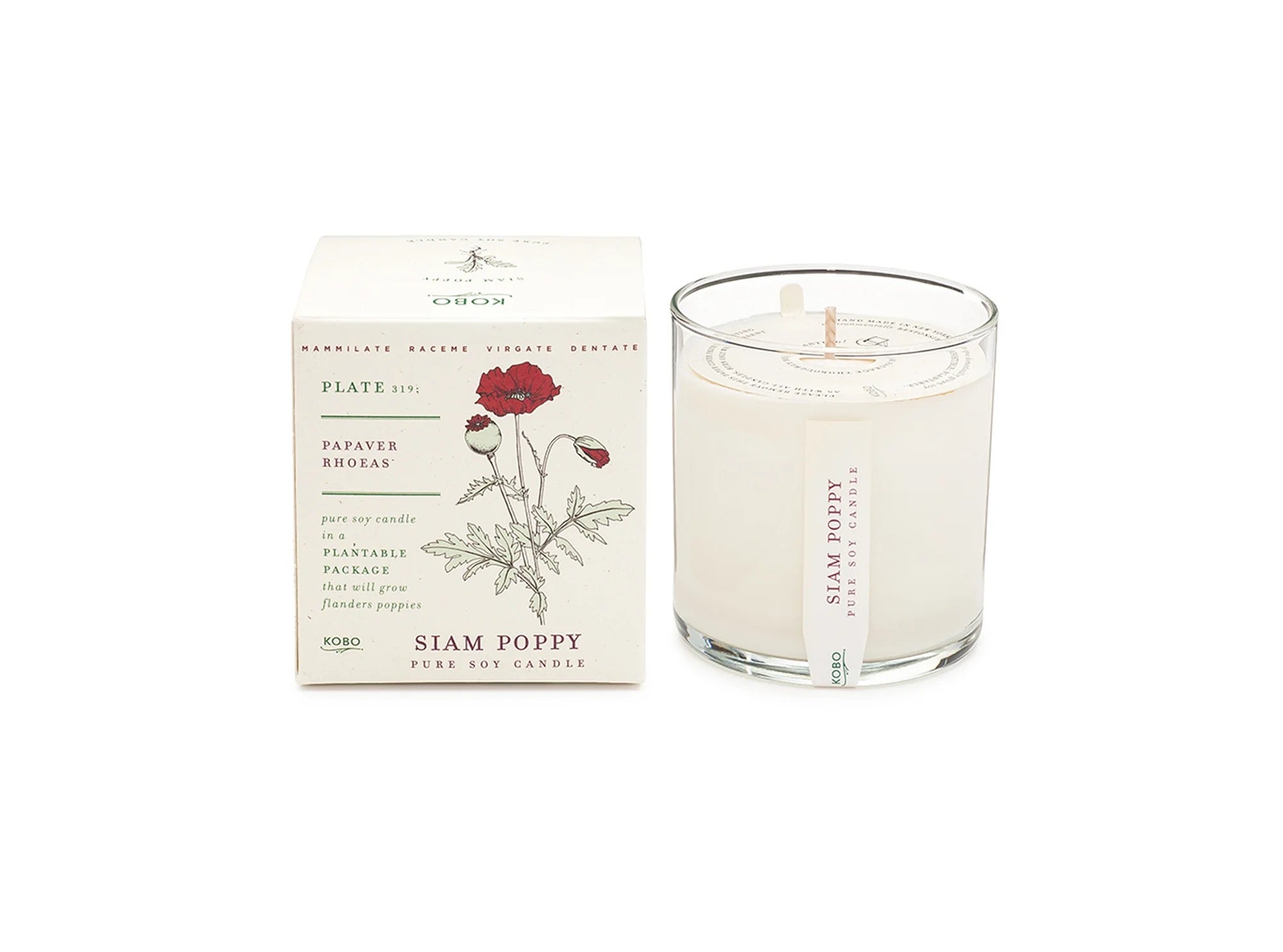 Plant The Box Candle 9 oz