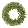 Winward Glitter Ice Wreath 24"