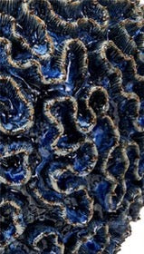 Encrusting Ocean Blue Coral Ceramic Vase