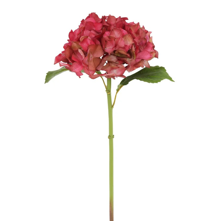 Winward Floral Hydrangea Stem 22"