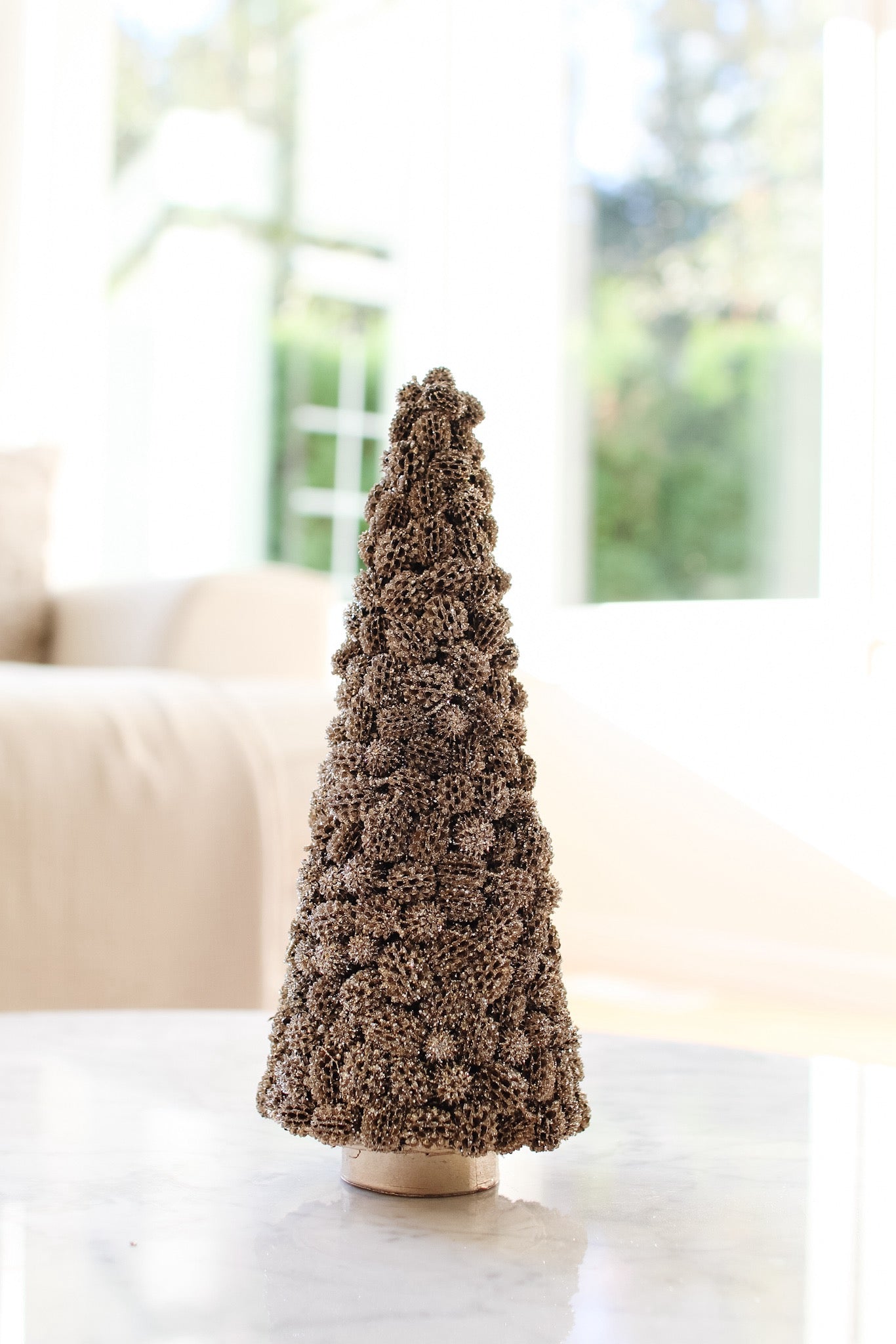 Agoho Cone Tree (Champagne) 16"