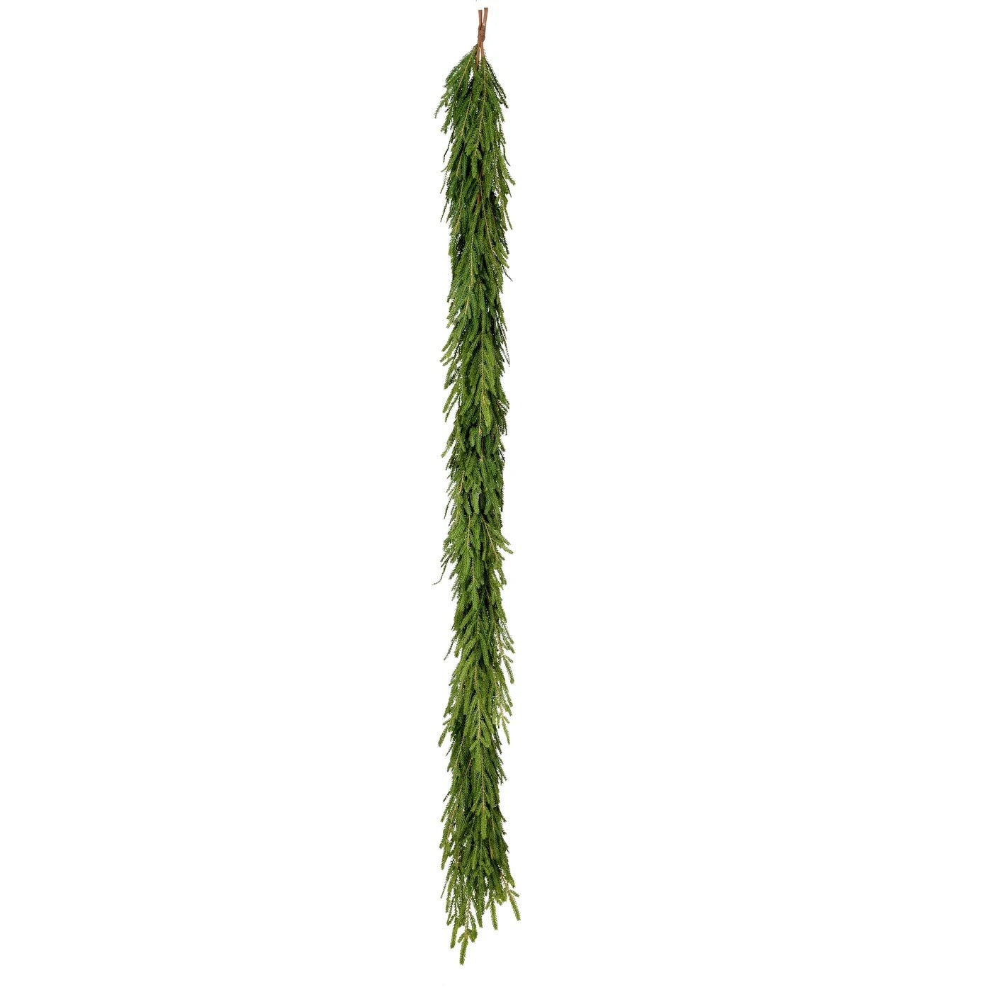 Winward Xmas Norfolk Pine Garland 6"