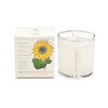 Plant The Box Candle 9 oz