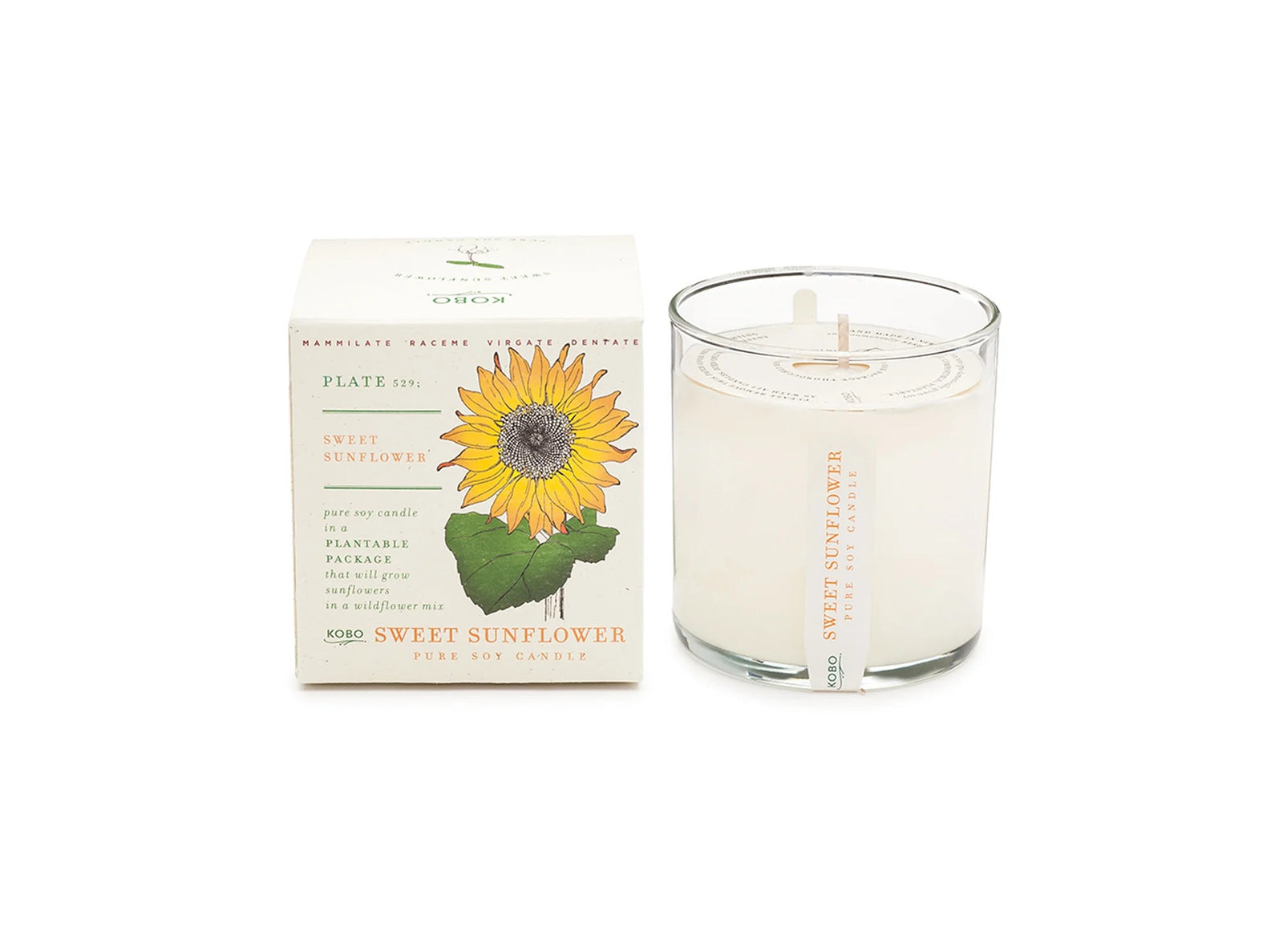 Plant The Box Candle 9 oz