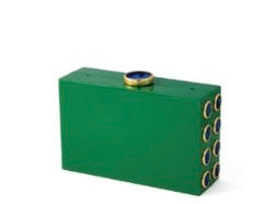 Brackish Basel - Peacock Clutch