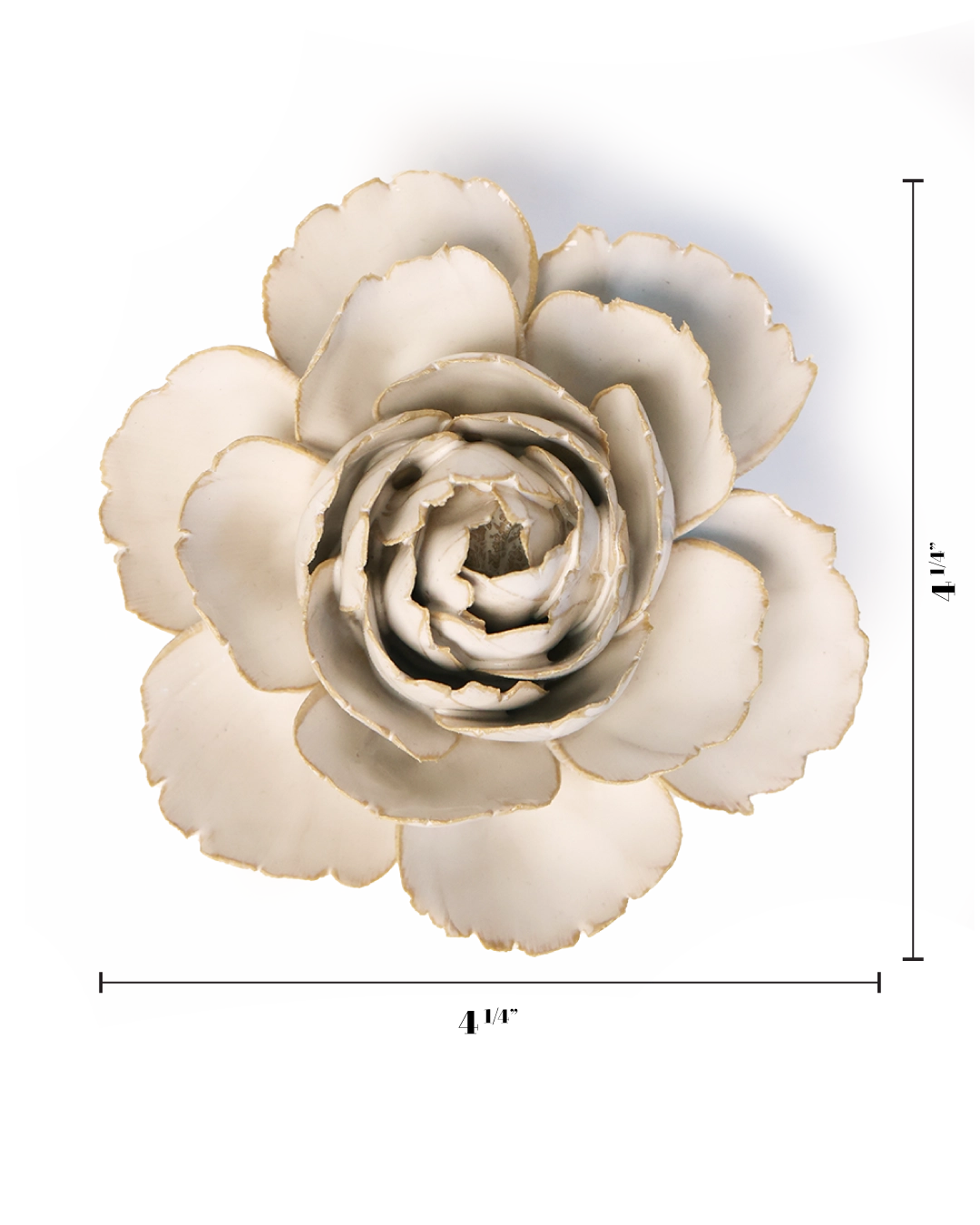 Chive English Garden Ivory English Rose