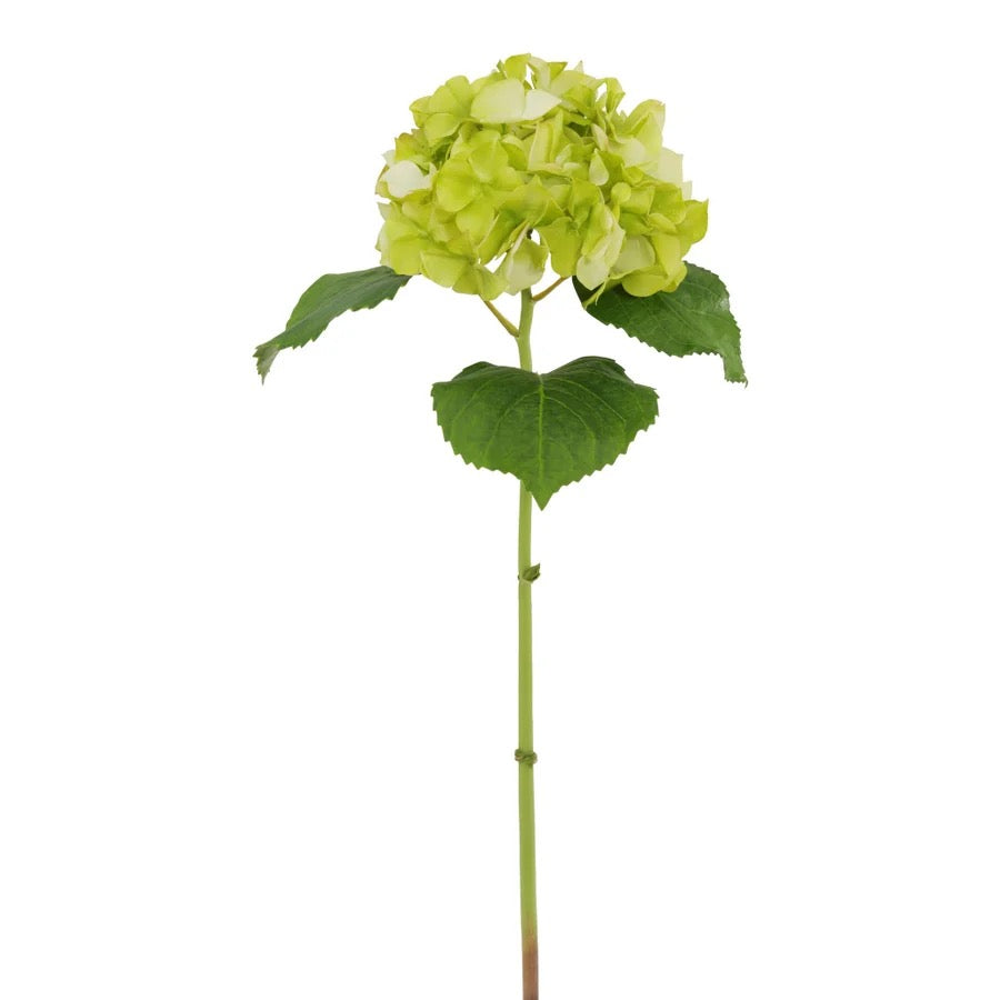 Winward Floral Hydrangea Stem 23.5"