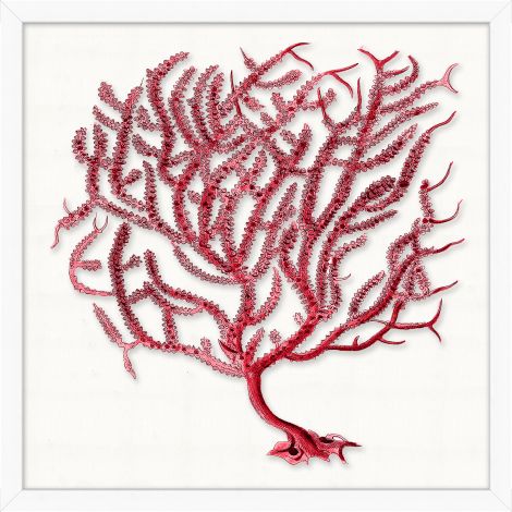 Red Coral Branch Art