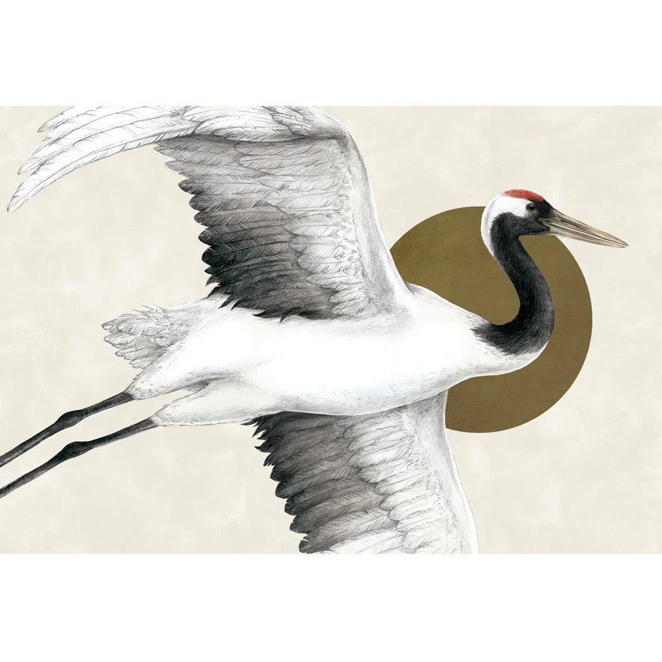 Hester and Cook Paper Placemats