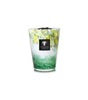 Baobab Scented Candle Eden Forest