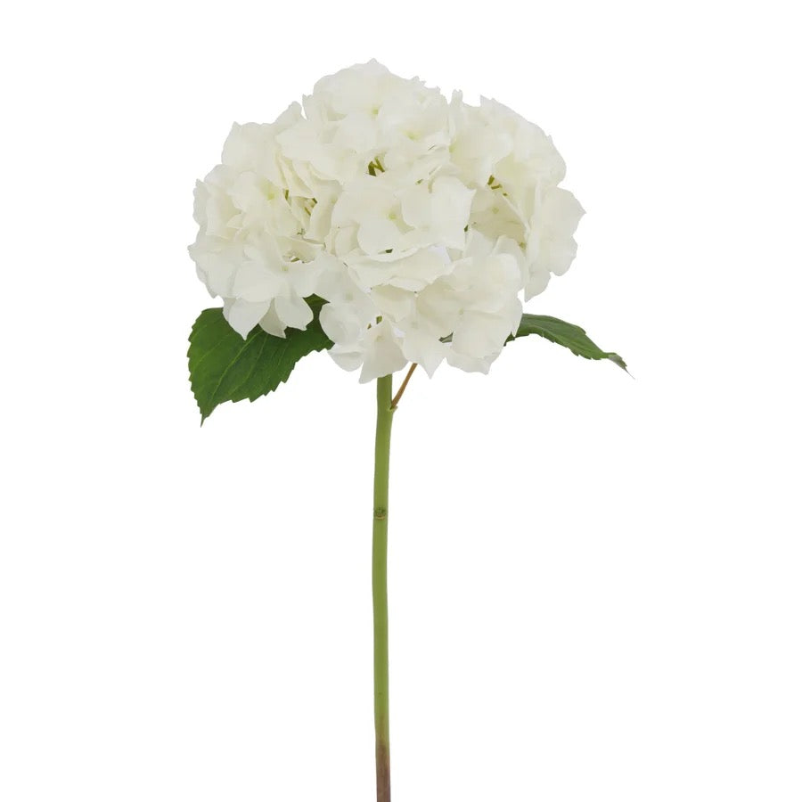 Winward Floral Hydrangea Stem 22"