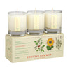 Plant the Box Candle Trio Endless Summer