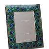 Addison Ross Faux Peacock Frame 5x7