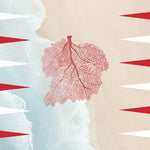 Maven Home - Game - Backgammon - Coral