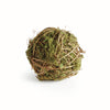 Napa Home & Garden - Mossy Vine Orb 4"