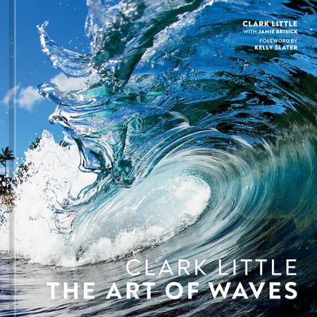 Penguin Random House LLC - Clark Little - The Art of Waves