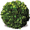 Boxwood Greens 6" Preserved Ball