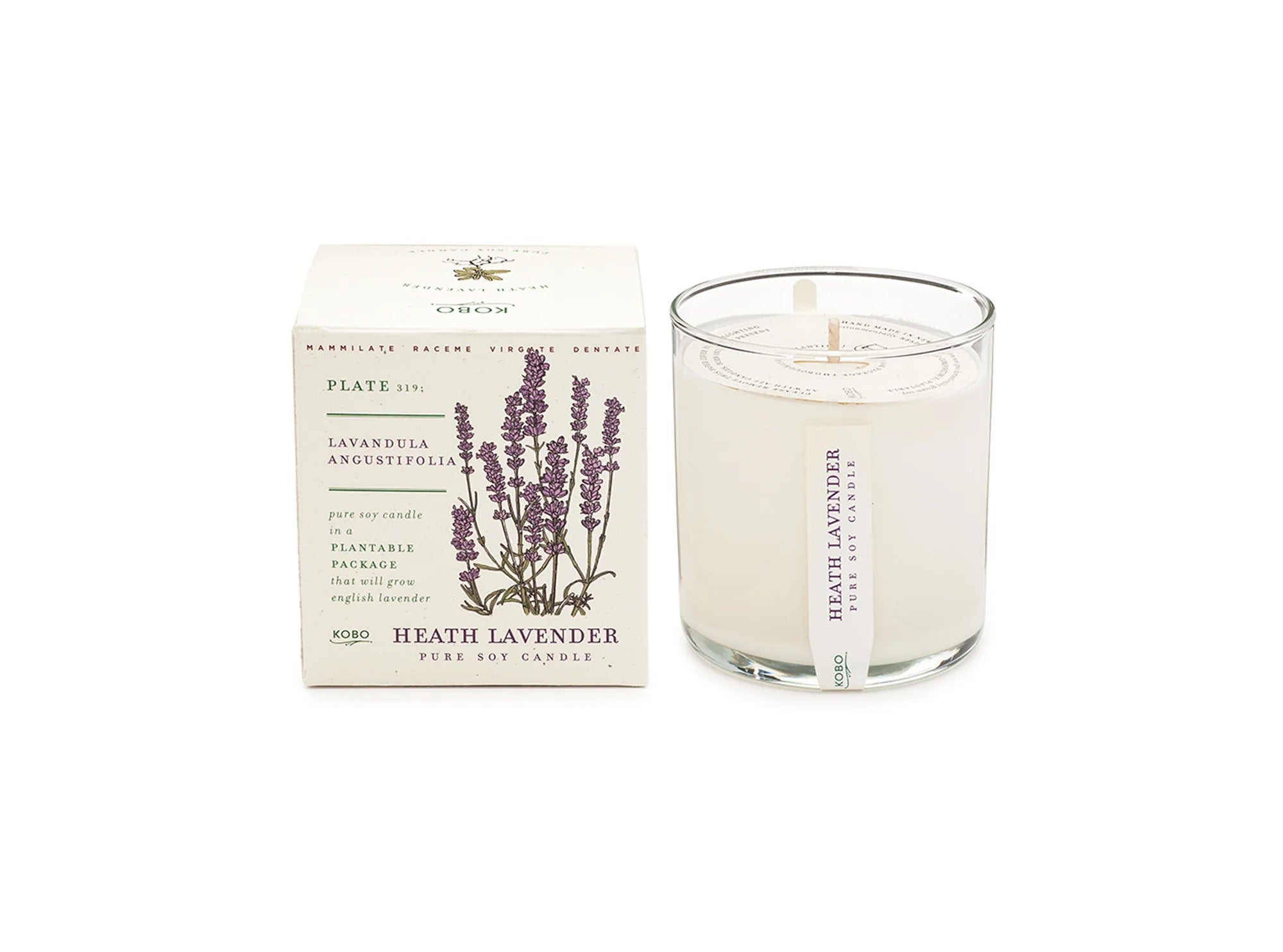 Plant The Box Candle 9 oz