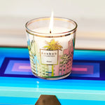 Baobab My First Baobab Miami Candle Max08