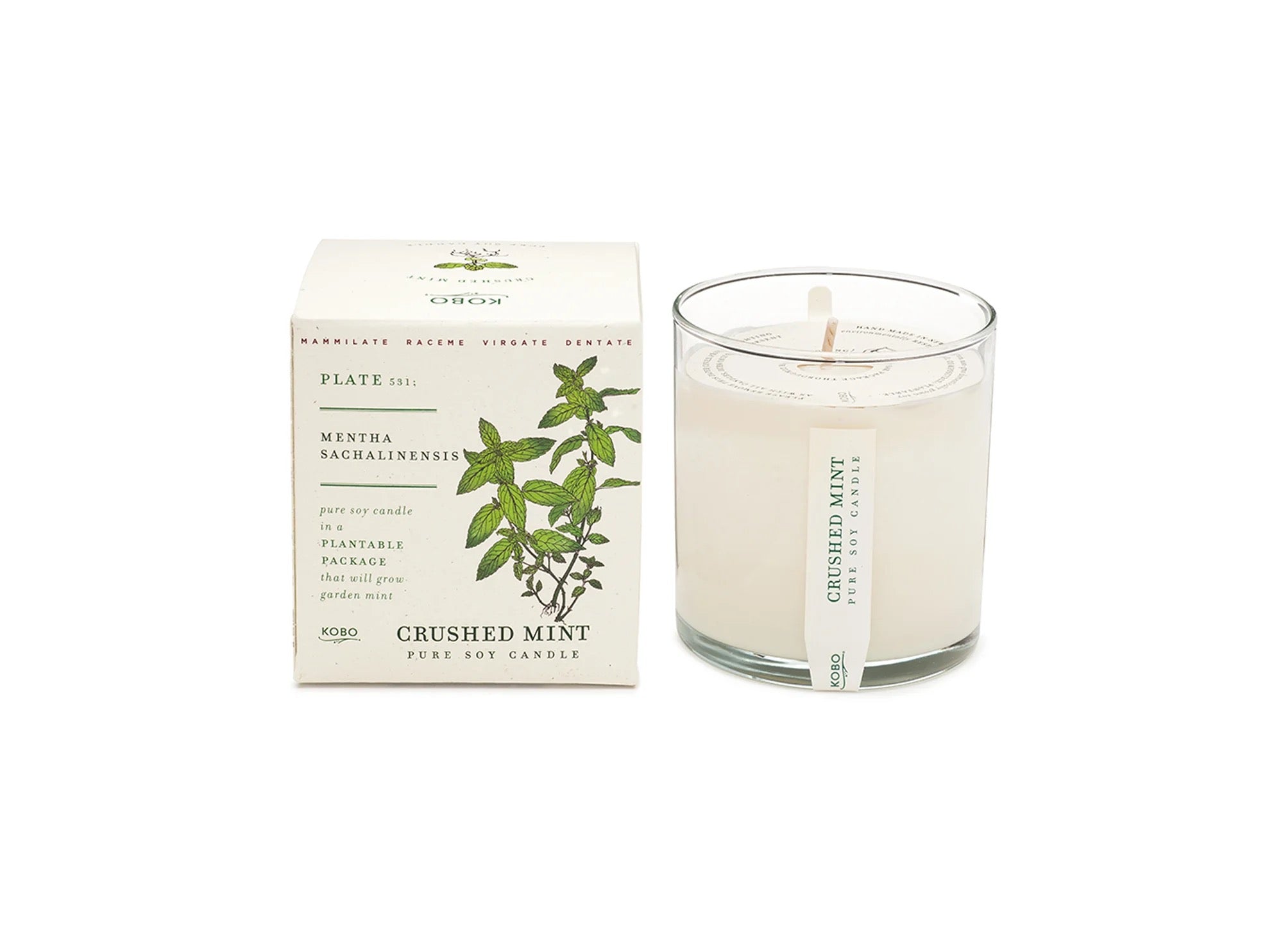 Plant The Box Candle 9 oz