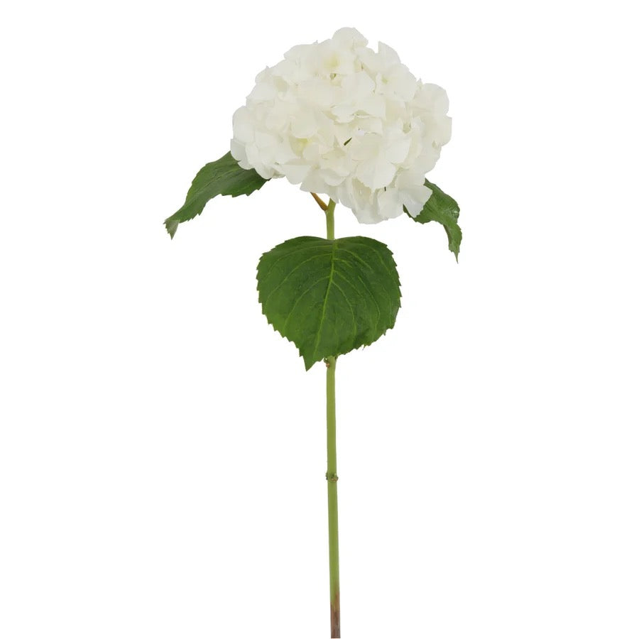 Winward Floral Hydrangea Stem 23.5"