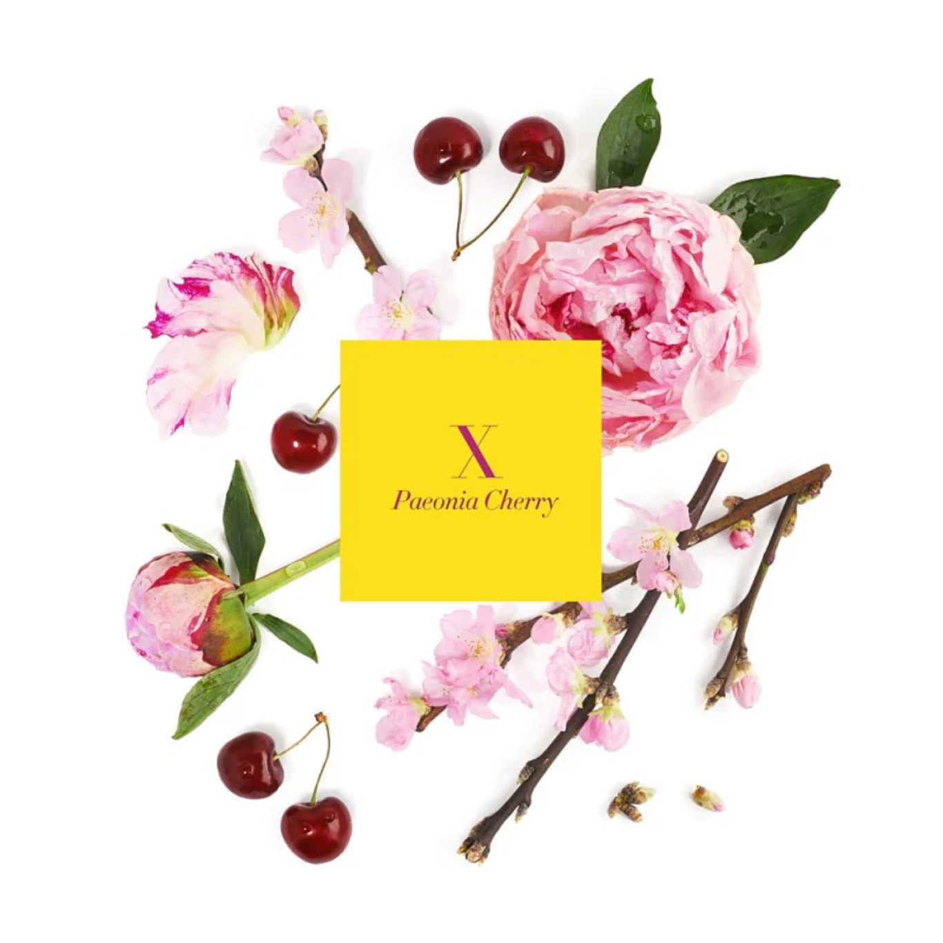 Amanda De Montal X PAENOI CHERRY Bougie Perfumee Scented Candle