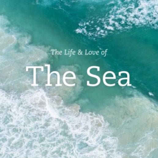 Life And Love Of The Sea