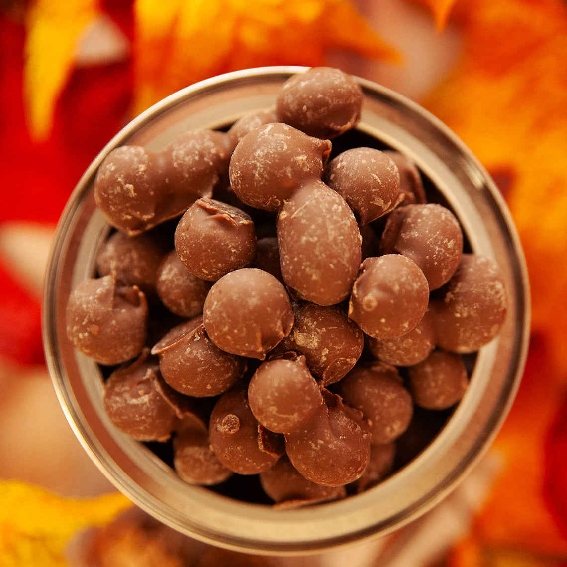 Bear Food Double Dip Milk Chocolate Gourmet Peanuts