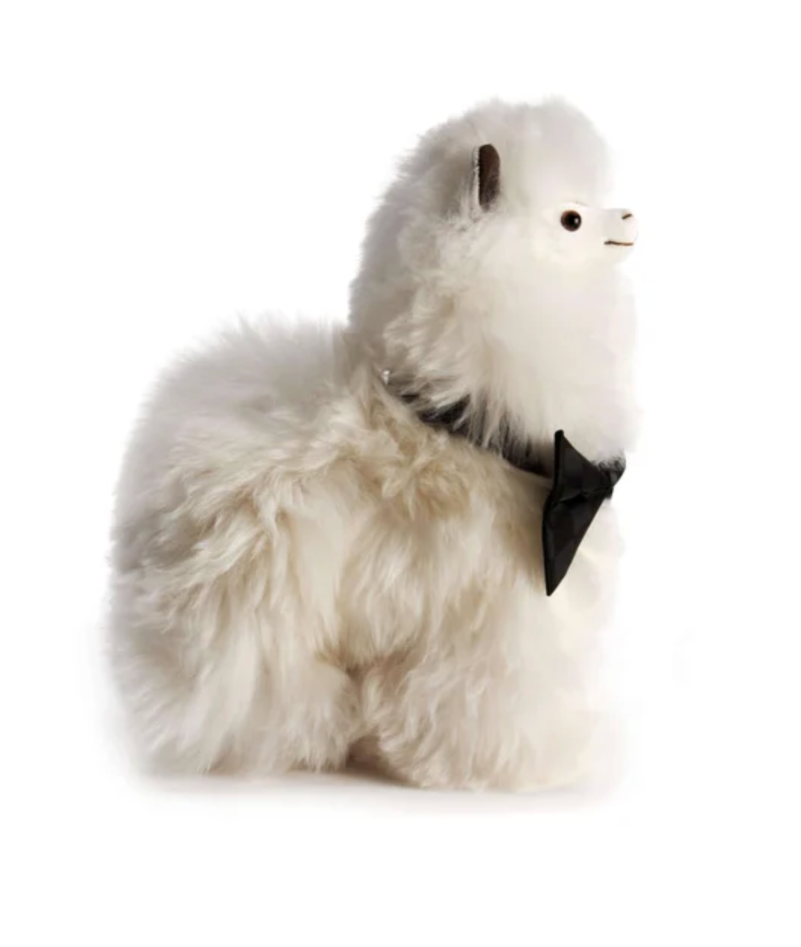 WEICH Alpaca Paco Small (20x15cm)