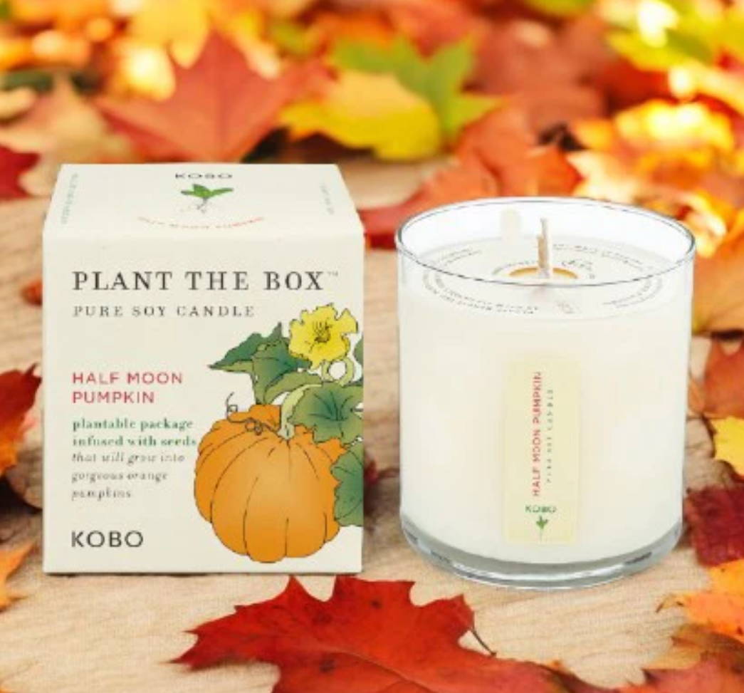 Plant The Box Candle 9 oz