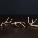 Western Sierra Modern Antler Set