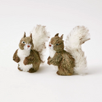 Mrs. Alice Woodland Grey Squirrels