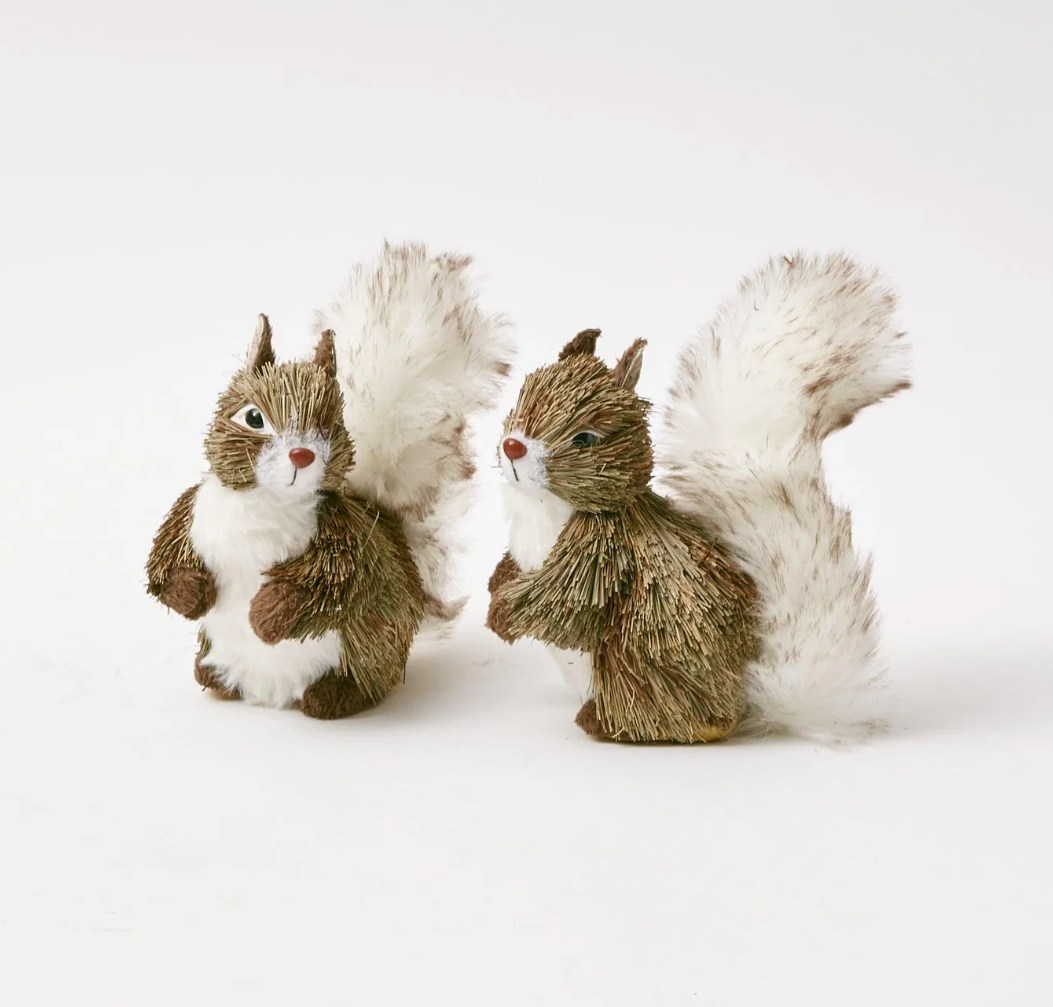 Mrs. Alice Woodland Grey Squirrels