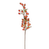 Burnt Orange Rosehip Stem-32"